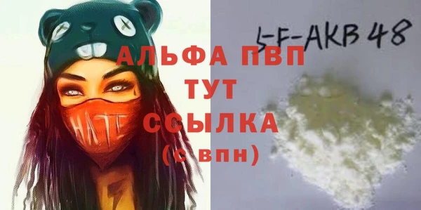 СК Алексин