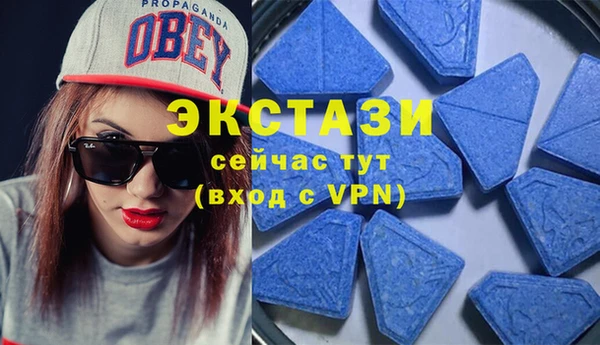 СК Алексин