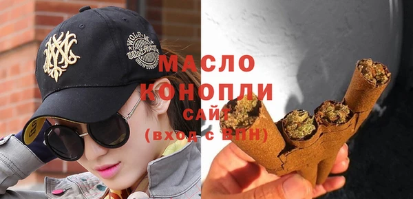 СК Алексин